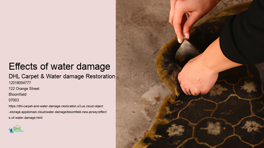 Effects of water damage