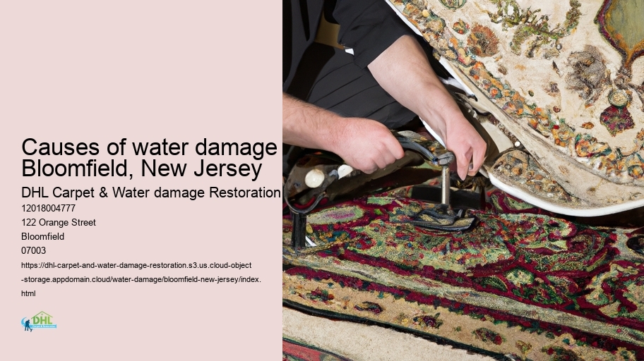 Causes of water damage Bloomfield, New Jersey