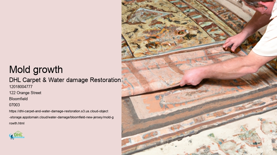 Mold growth